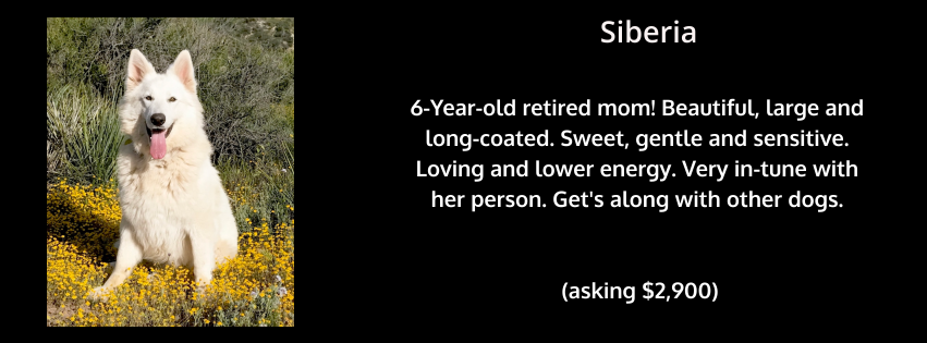 Siberia